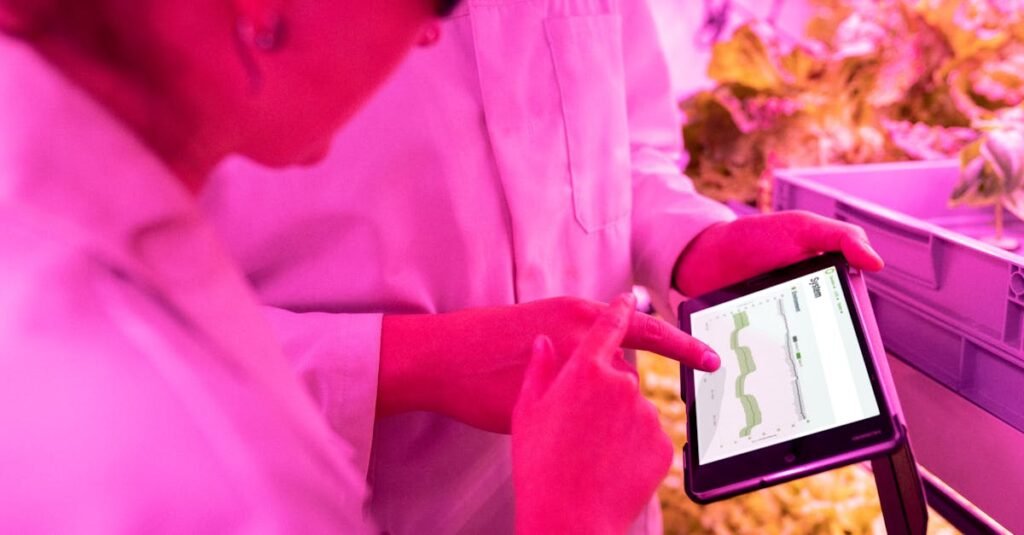 ChatGPT 900 million users