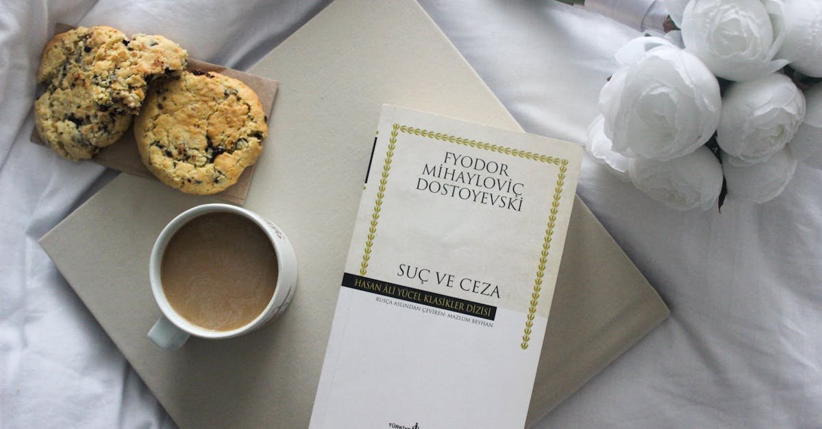 Google Veo Google Ads