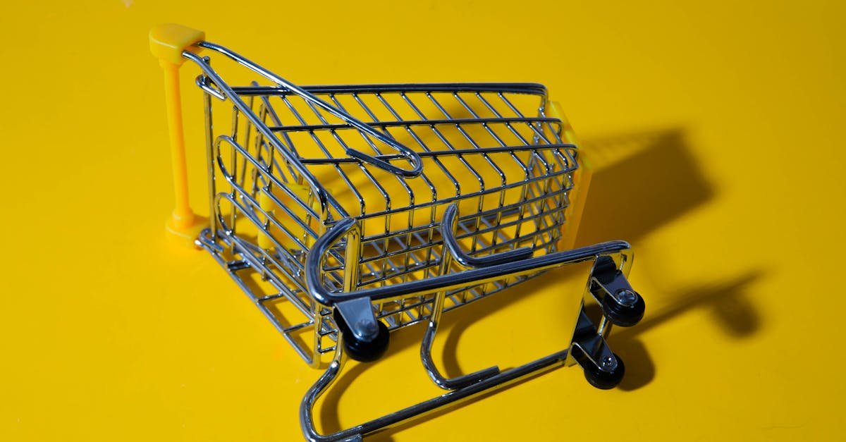 ecommerce search campaigns